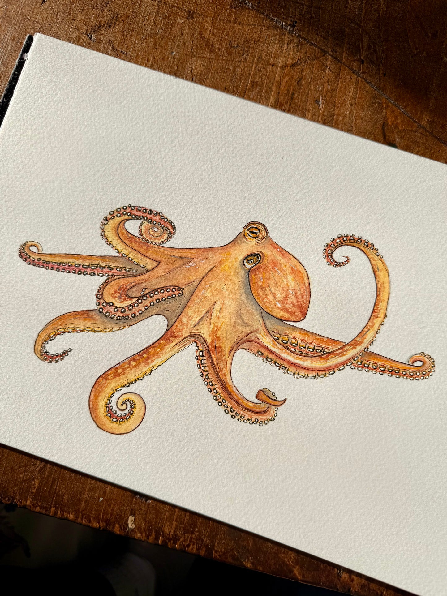 Custom Marine Animal Watercolour Painting