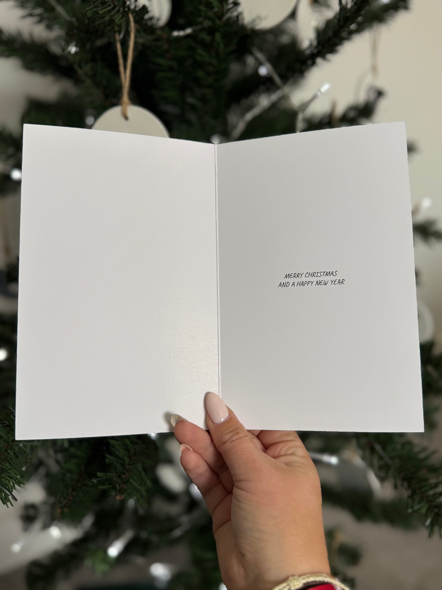 Dolphin Merry Christmas Card