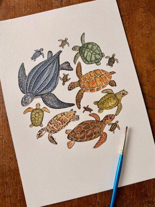Turtle Watercolour Print