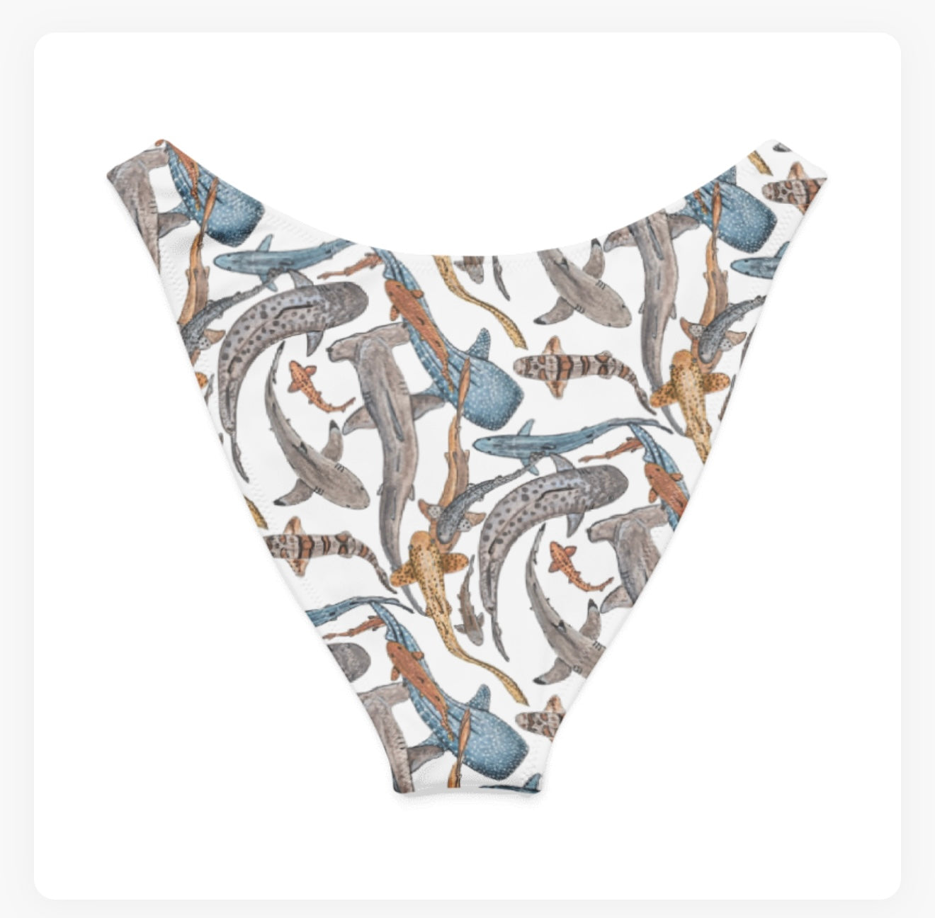 Shiver of Sharks V-Cut Bikini Bottoms