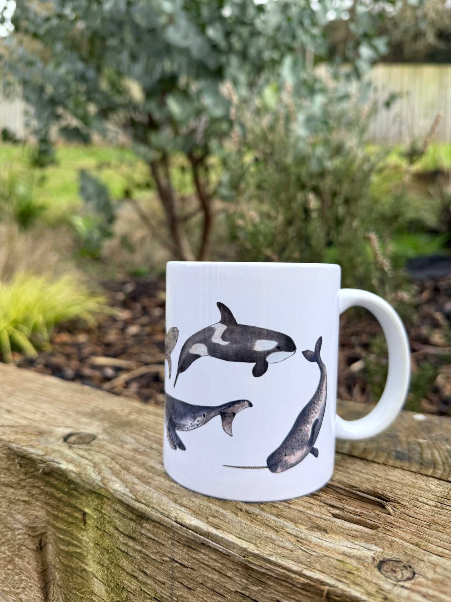Watercolour Sea Life Mug