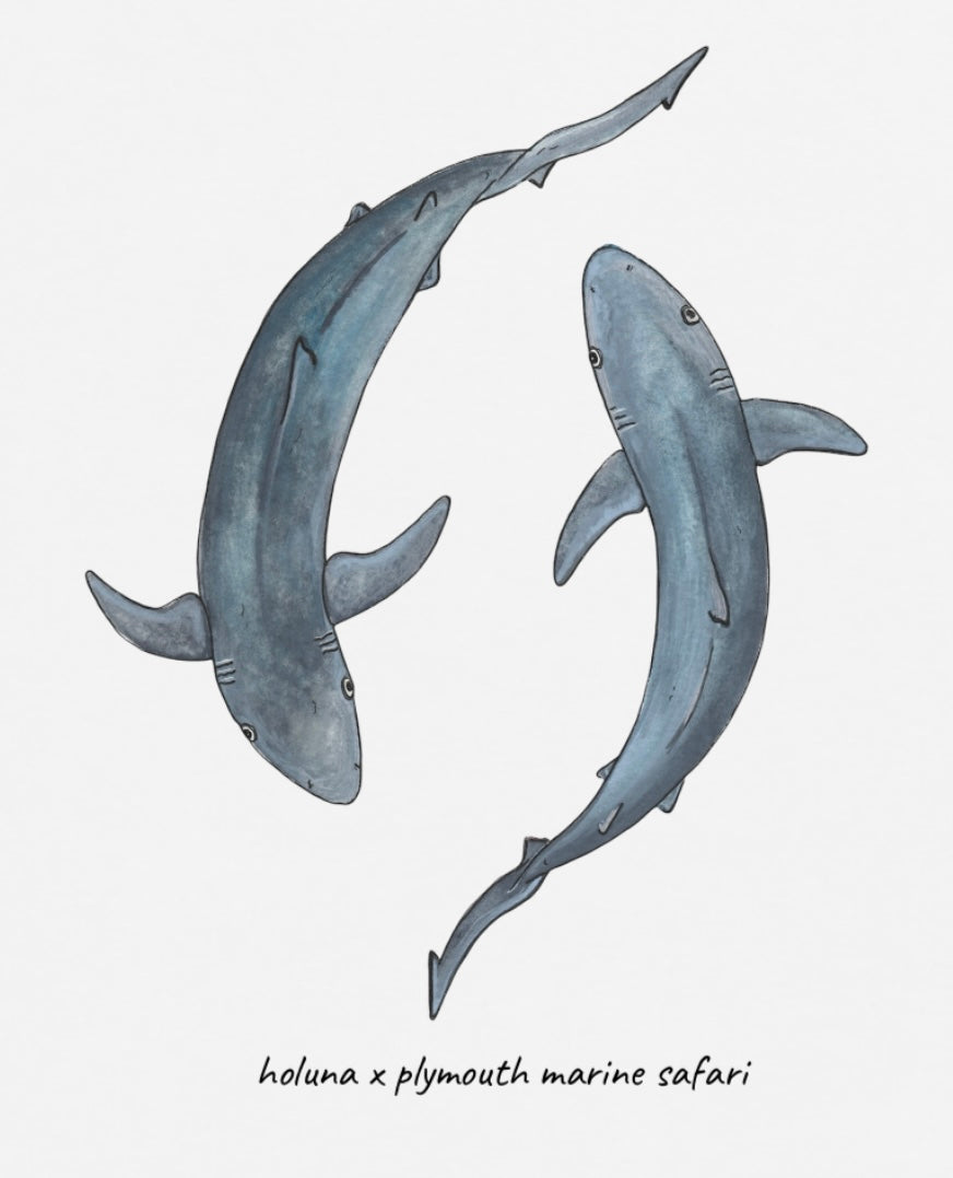 Mens Blue Shark T Shirt