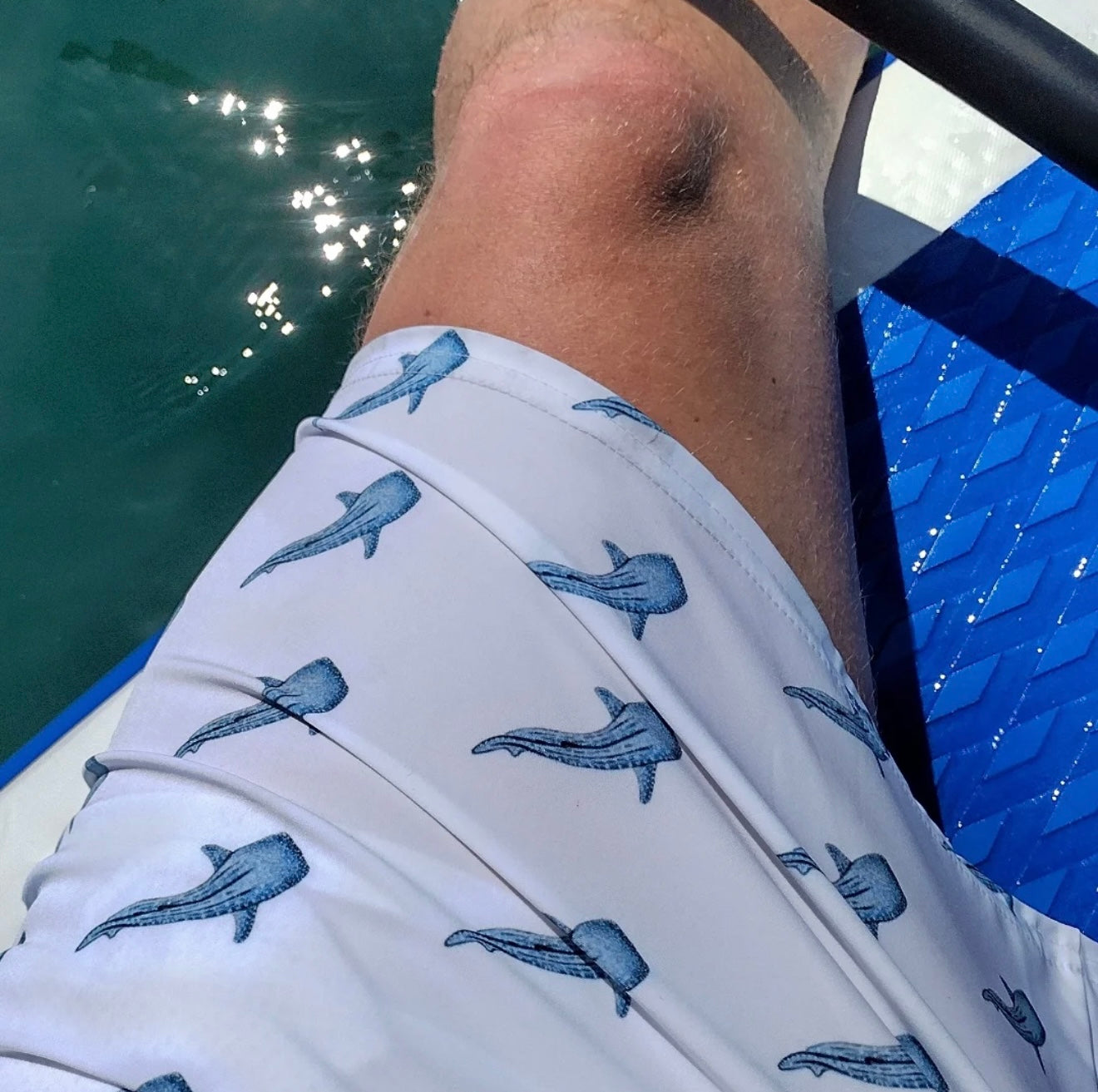 Blue Whale Shark Swim Trunks