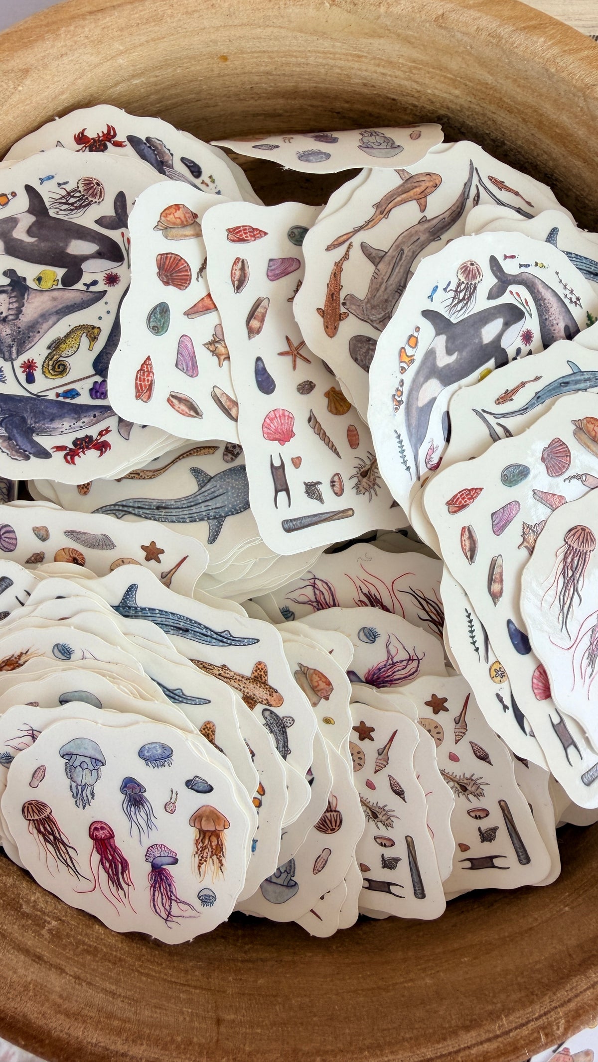 Seashell Sticker