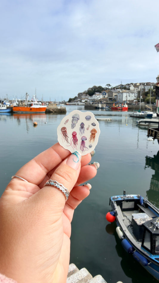 Jellyfish Sticker