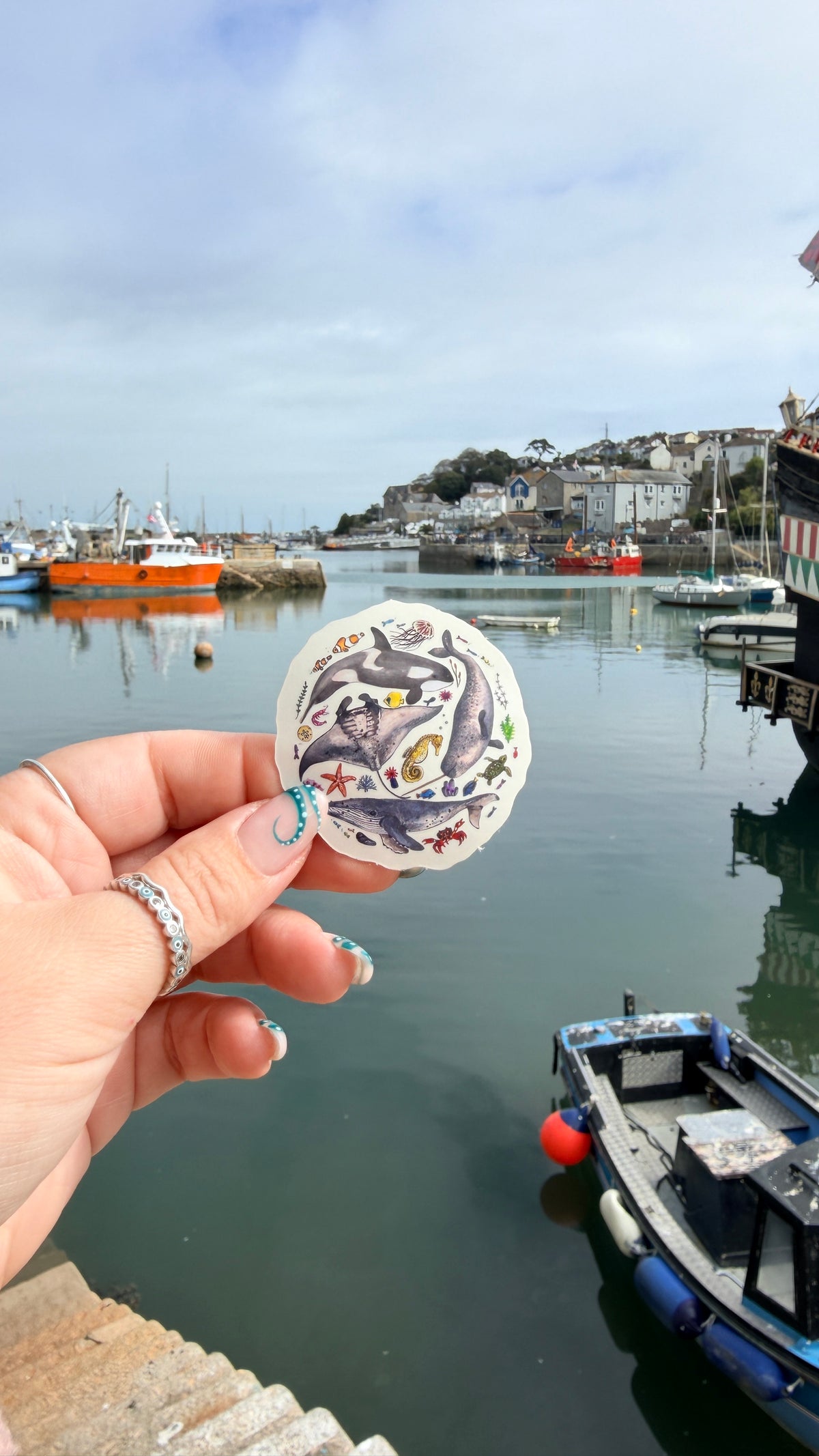 Marine Life Sticker