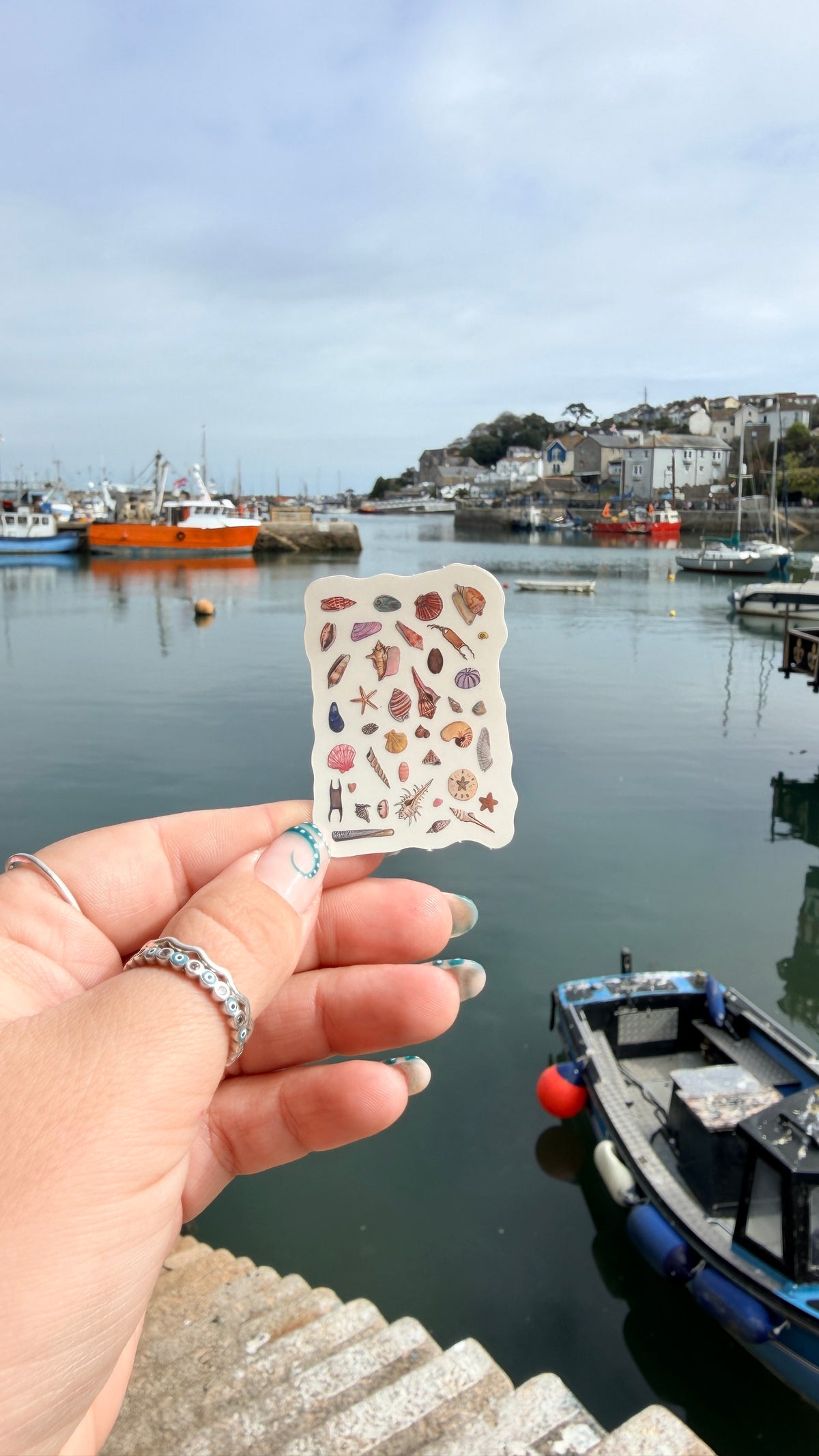 Seashell Sticker
