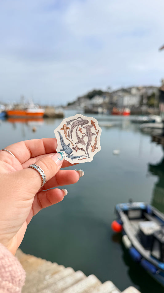 Shiver of Shark Sticker