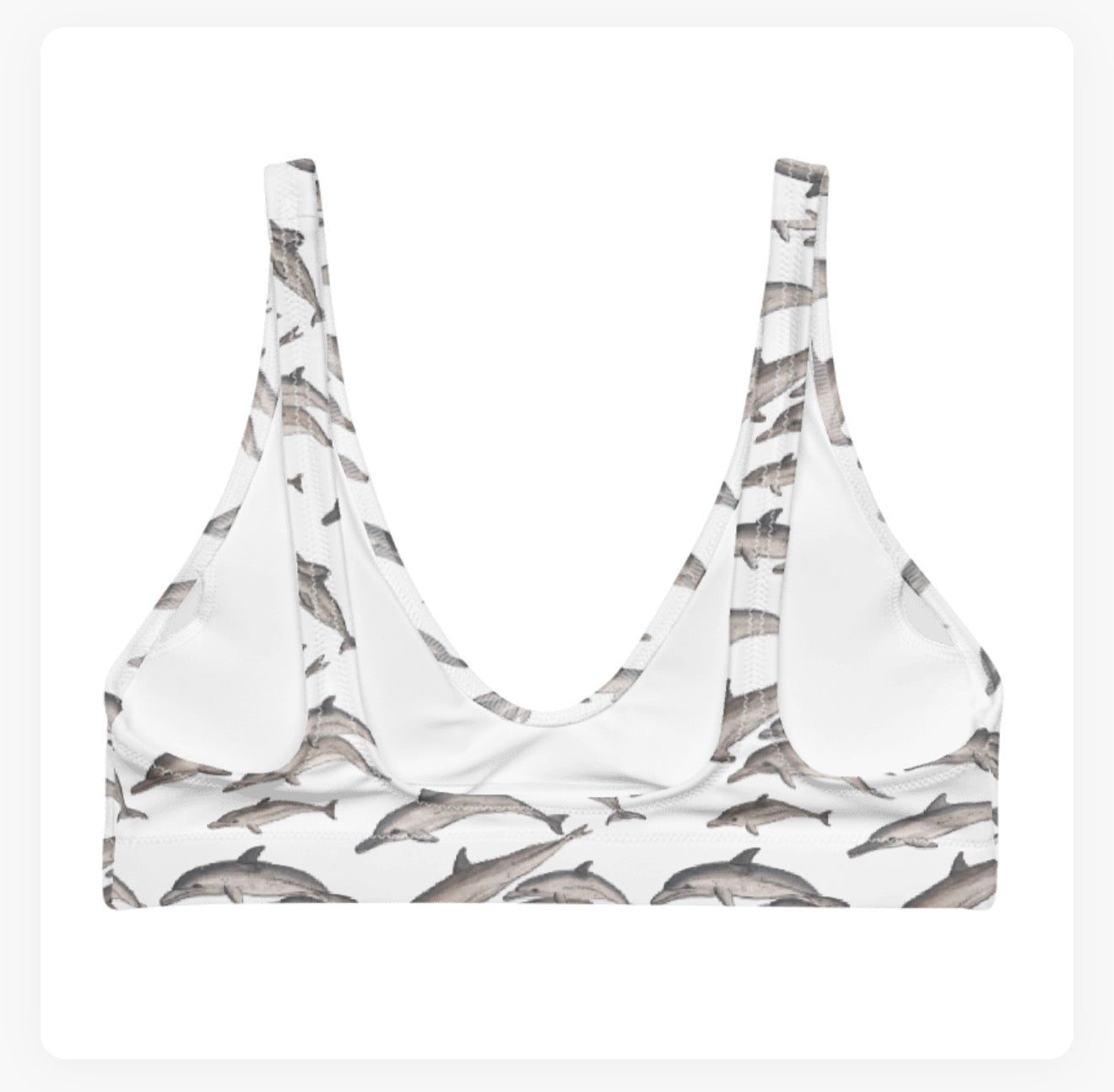 Dolphin Pod Bra Bikini Top