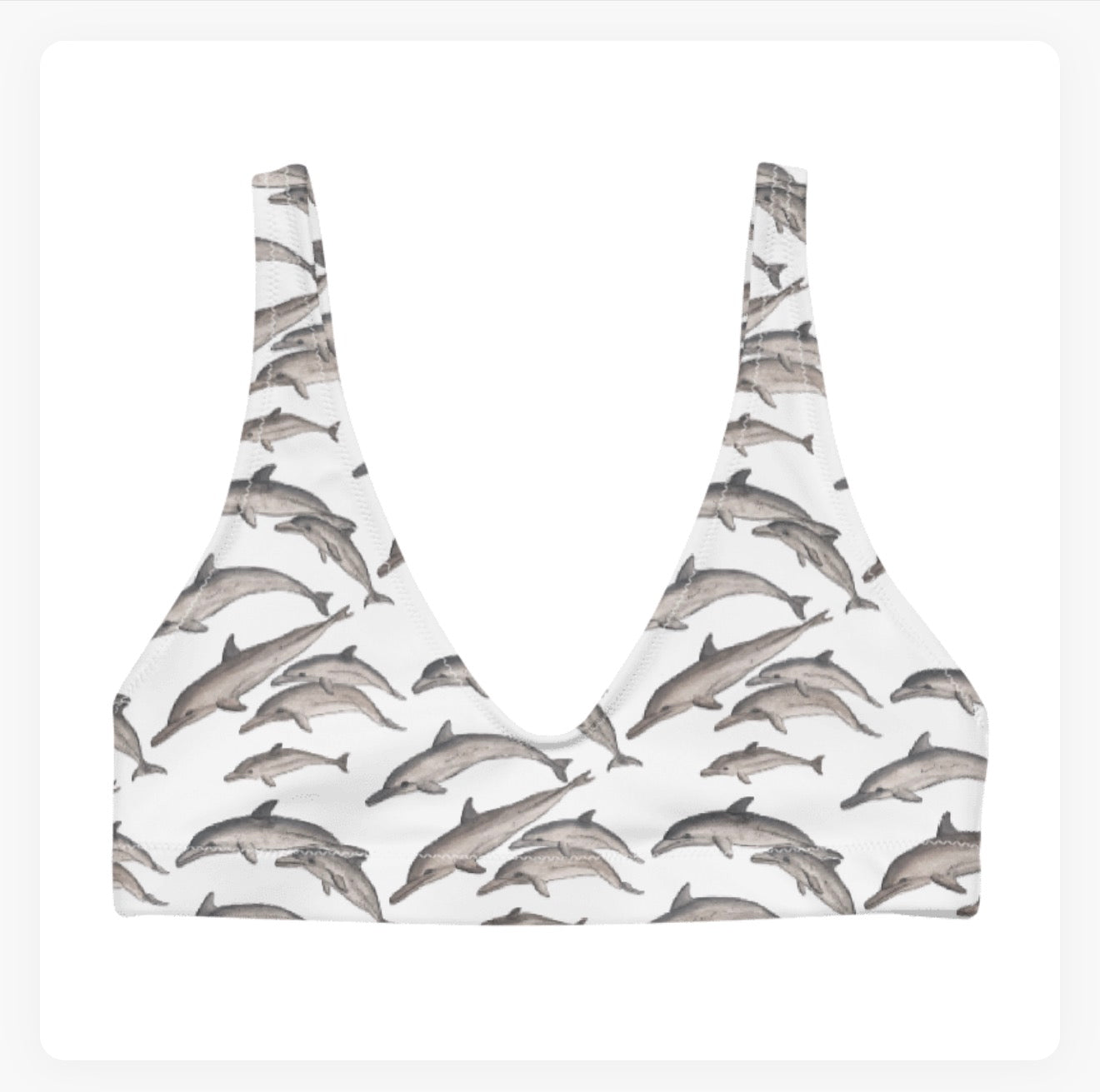 Dolphin Pod Bra Bikini Top