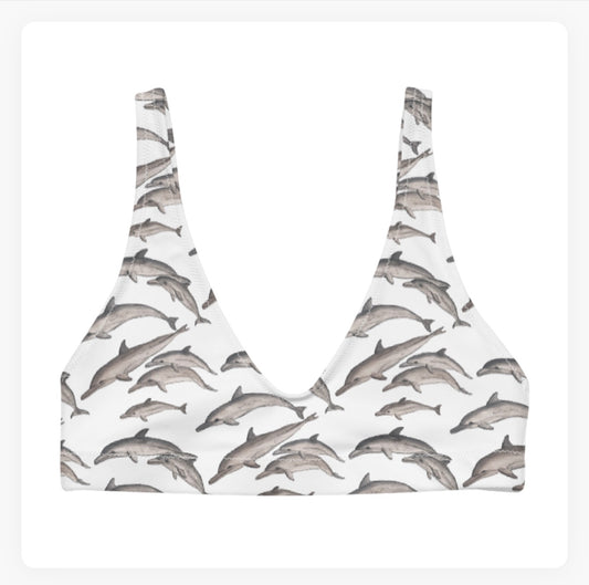 Dolphin Pod Bra Bikini Top