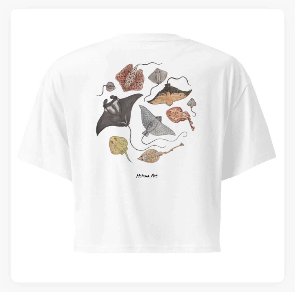 Ray Migration Women's Crop Top