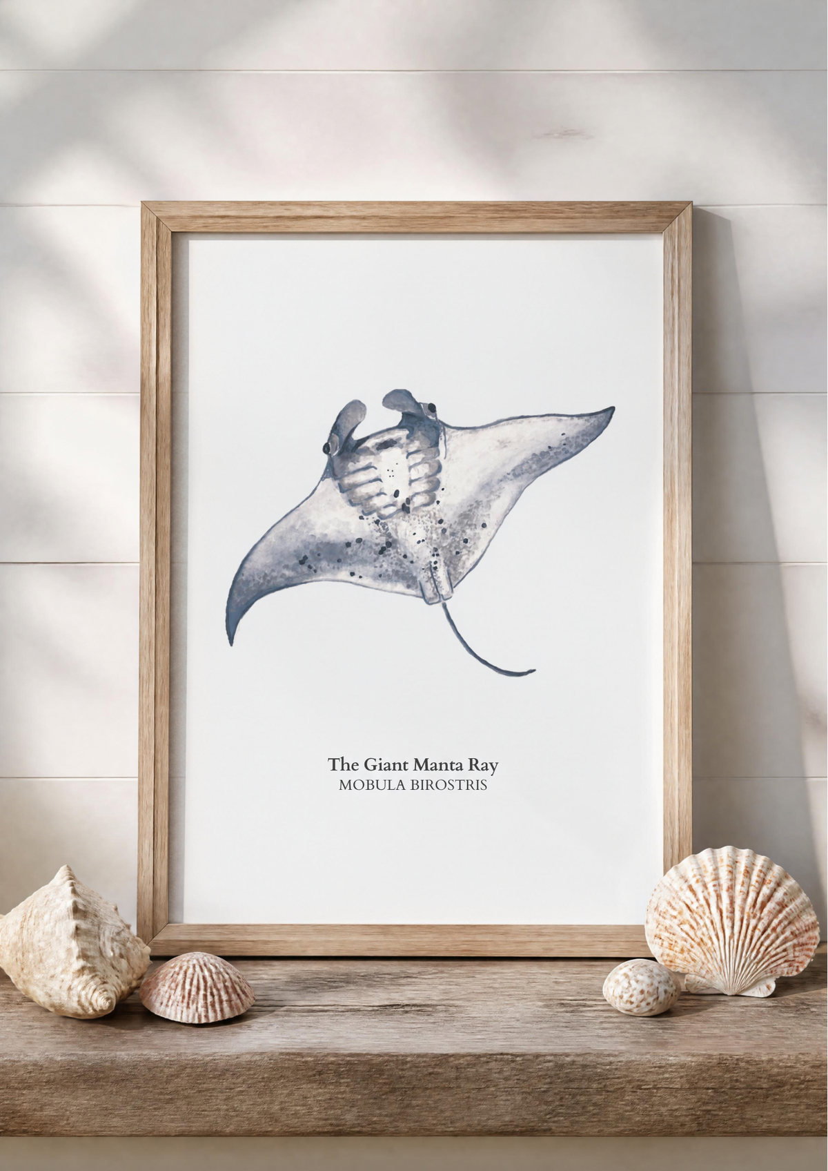 Manta Ray Fine Art Watercolour Print