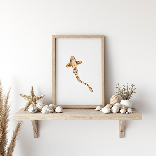 Leopard Shark Fine Art Watercolour Print