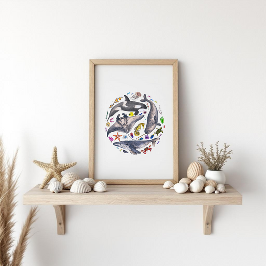 Marine Life Fine Art Watercolour Print