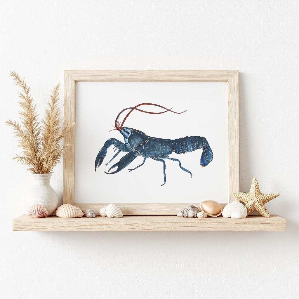 Blue Lobster Fine Art Watercolour Print