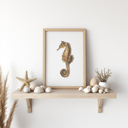 Seahorse Fine Art Watercolour Print