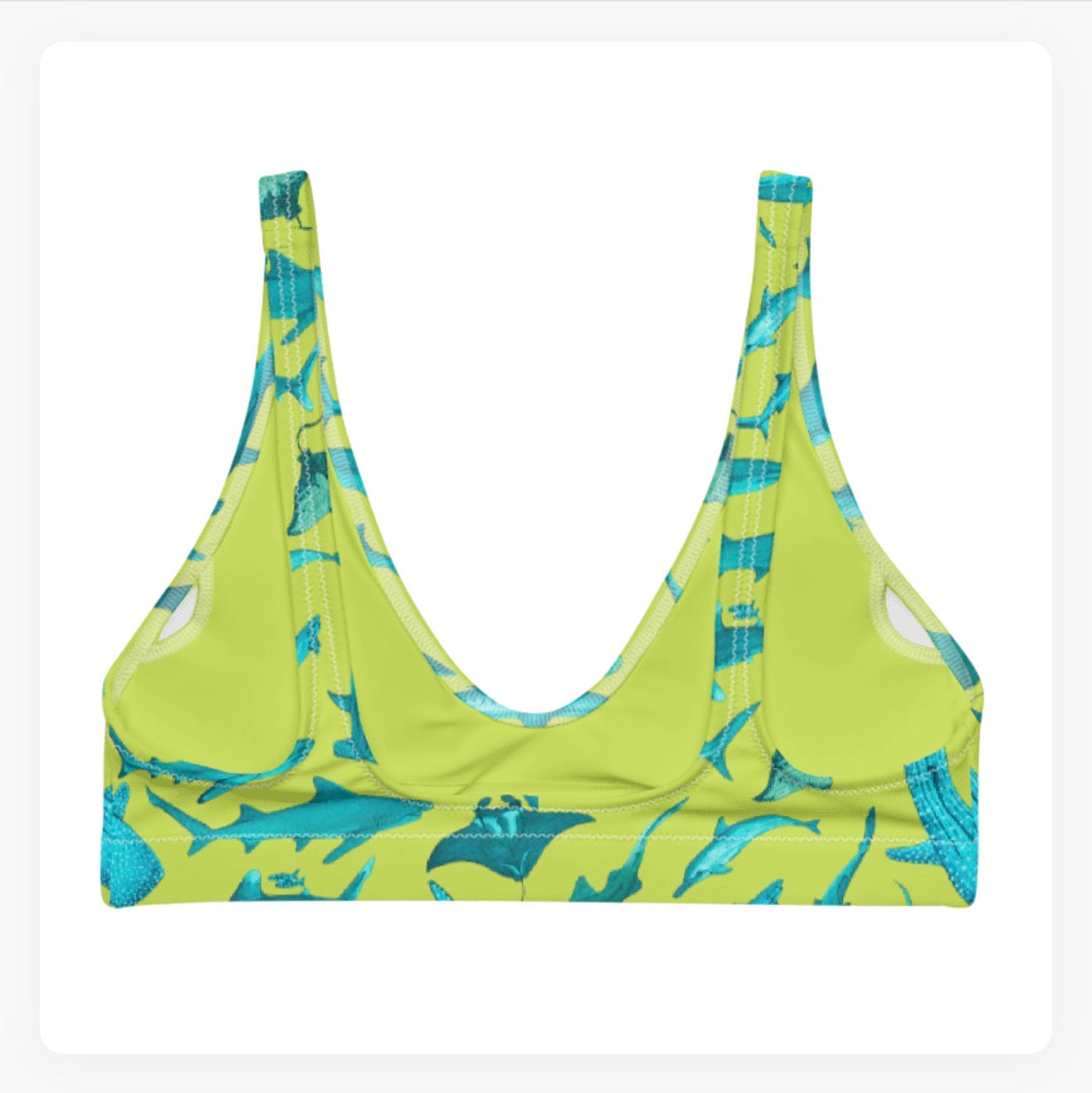 Atoll Bloom Bra Bikini Top