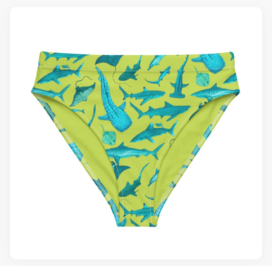 Atoll Bloom High Waisted Bikini Bottoms