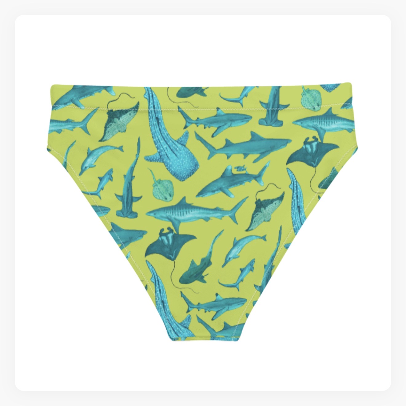 Atoll Bloom High Waisted Bikini Bottoms