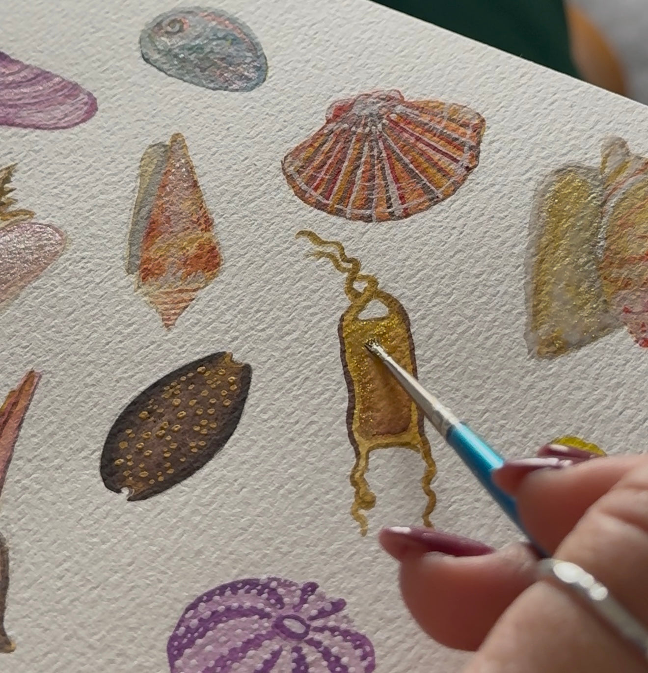 Sip & Paint Workshop - Sea Shell Edition