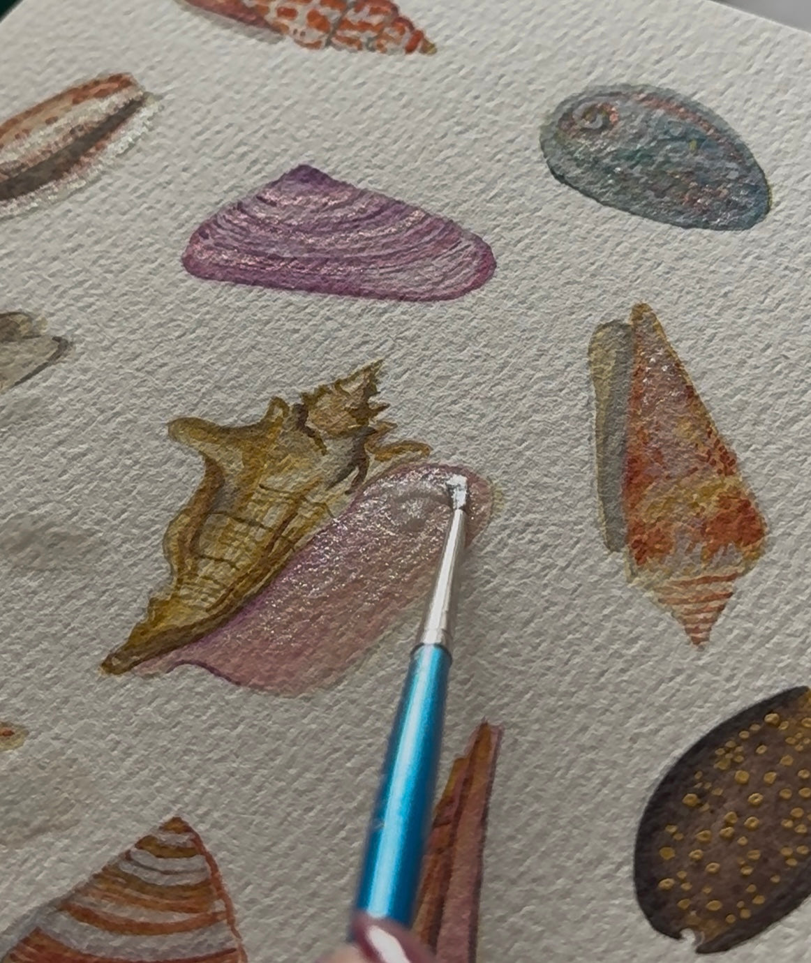 Sip & Paint Workshop - Sea Shell Edition