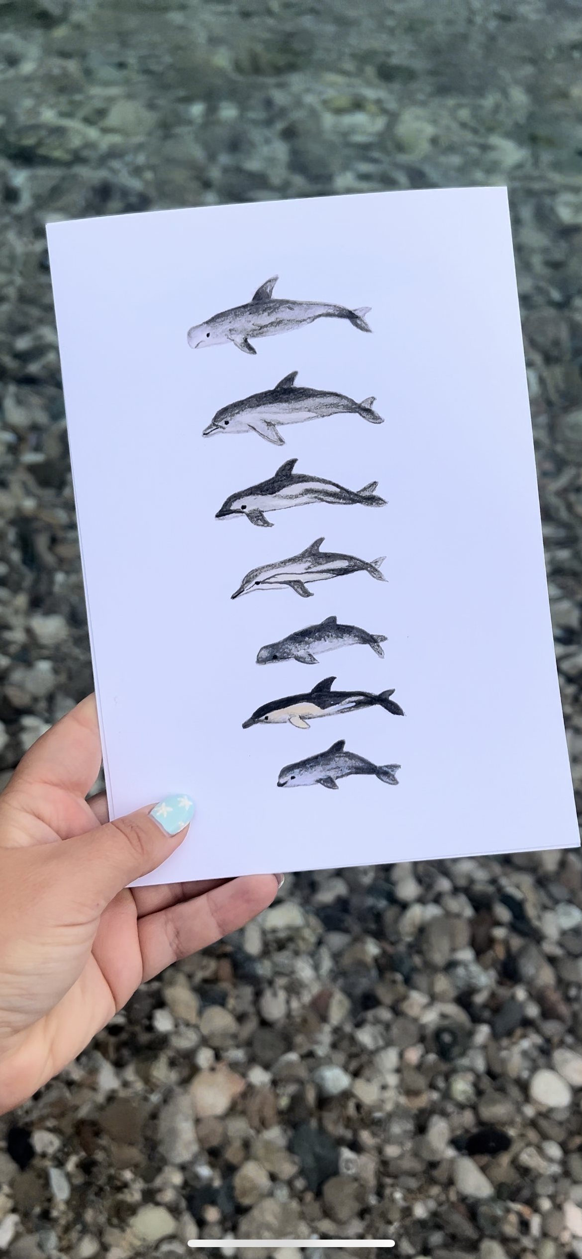 Dolphin Watercolour Print