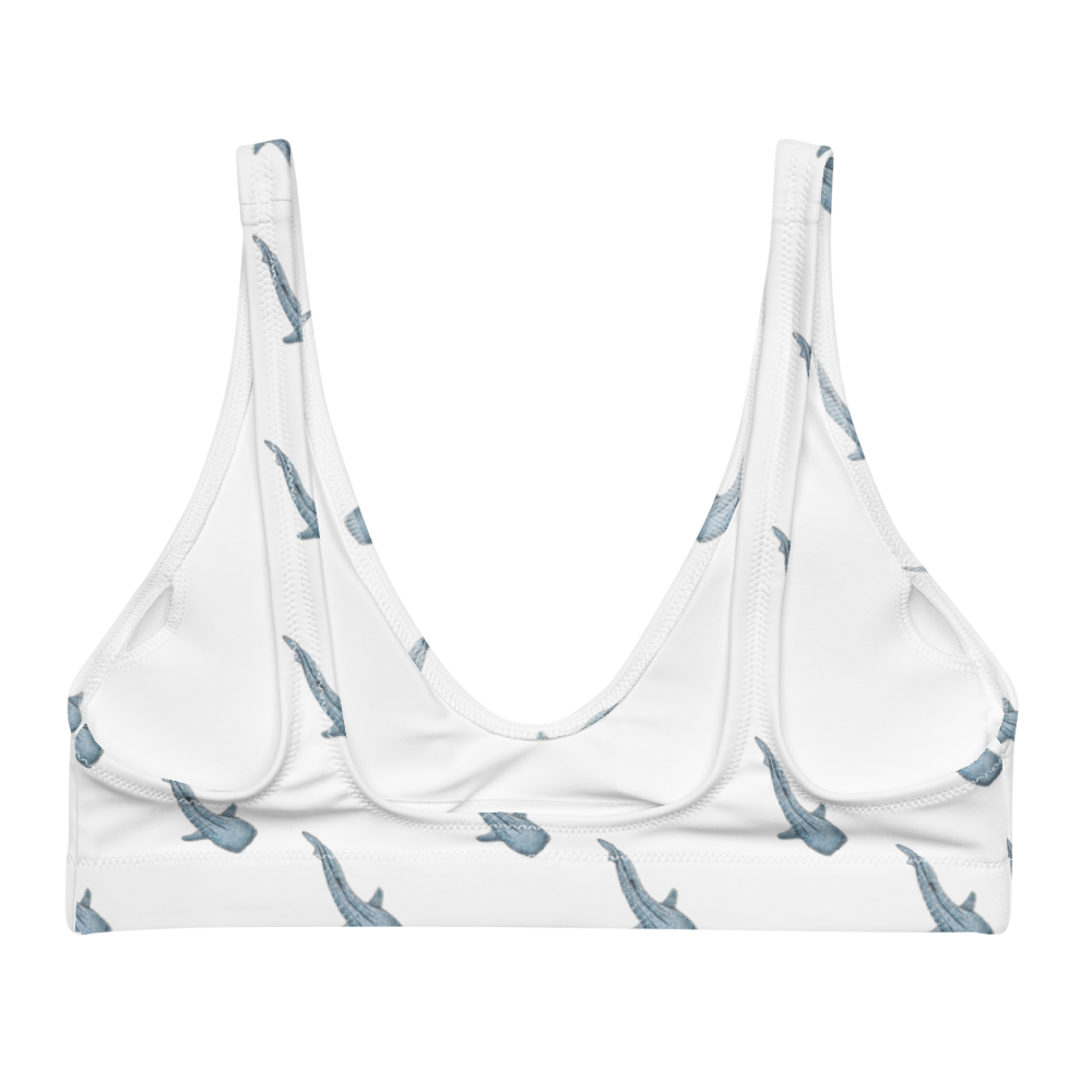 Whale Shark Bra Bikini Top